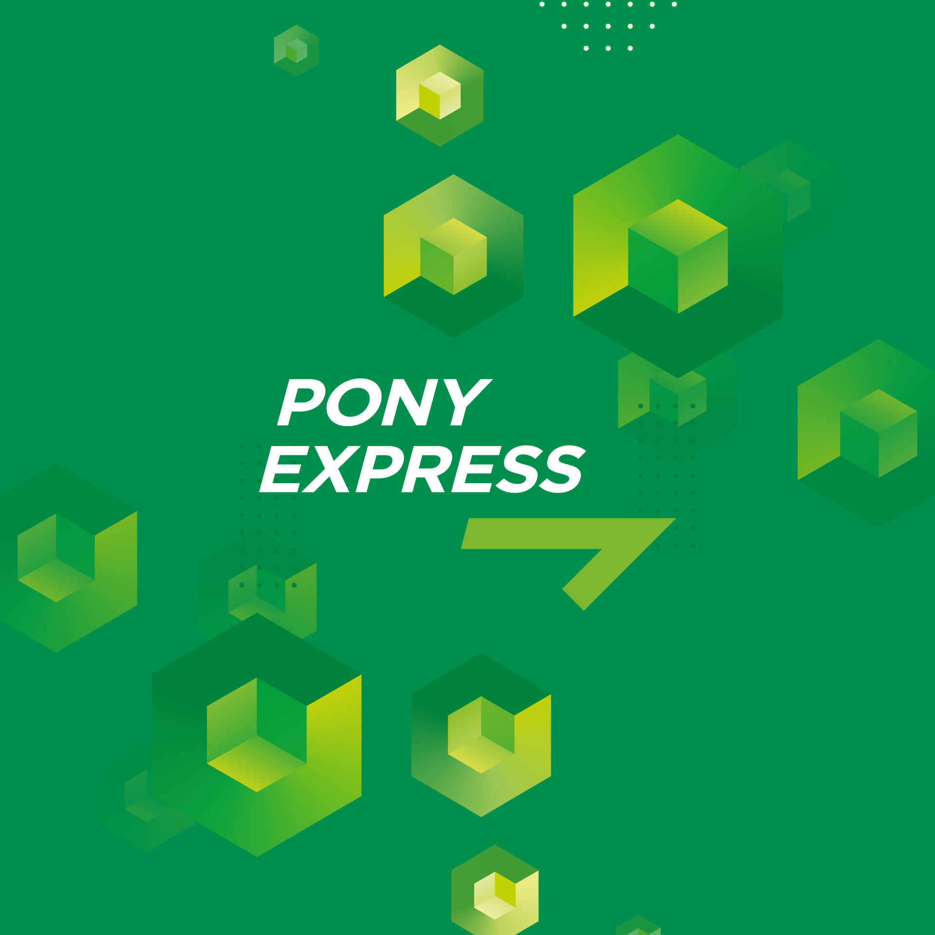 Мобильное приложение для PONY EXPRESS